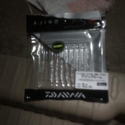 アジもサイズがダウン